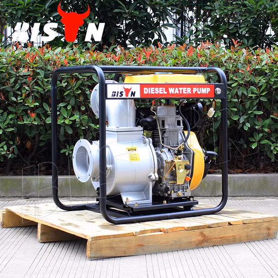4 Inch High Head Portable Hydraulic Slurry Pump Submersible Pump on Sale