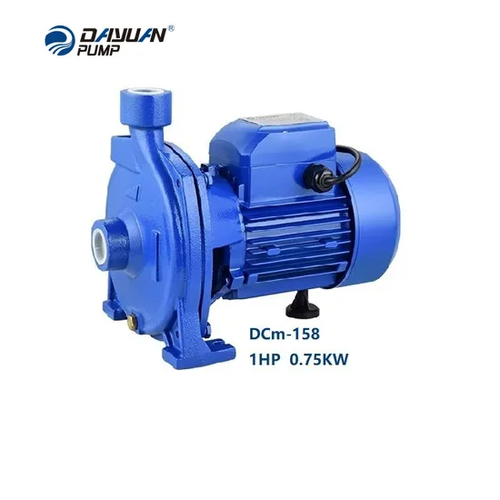 Dayuan High Efficiency Electric Motor 1 Inch 1HP Cast Iron Clean Long