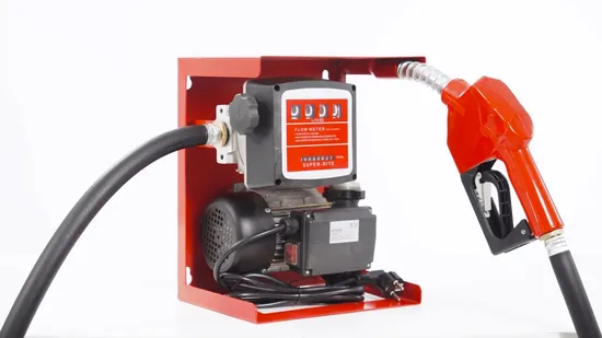 Portable 12V Diesel Fuel Pump Kit Diesel Transfer Pump for Vacuum Usage for Oil Transfer 