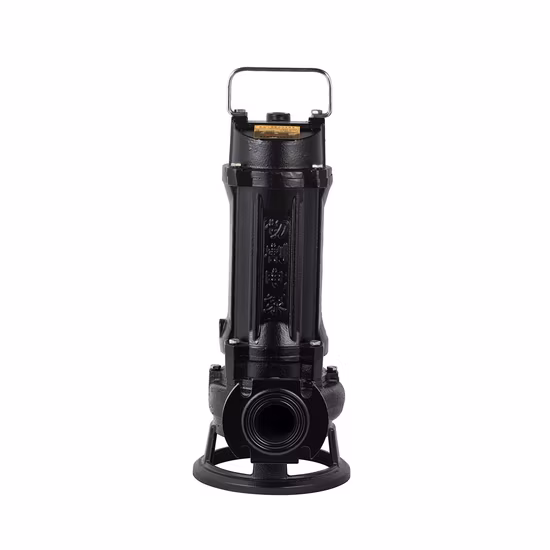 Submersible Sewage 1HP to 200HP Cast Iron Wq Series Water Pump