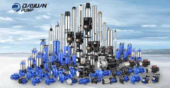 Dayuan 4HP 3kw Clean Water Electric Centrifugal Pump High Head Cast Iron Garden Irrigation Centrifugal Pump 