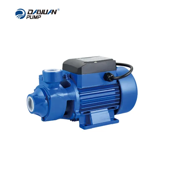 High Efficiency Dayuan 0.16HP Electric Water Pump for Clean Water 